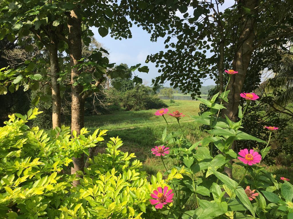 Blue Lake Ridge Maha Oya 外观 照片