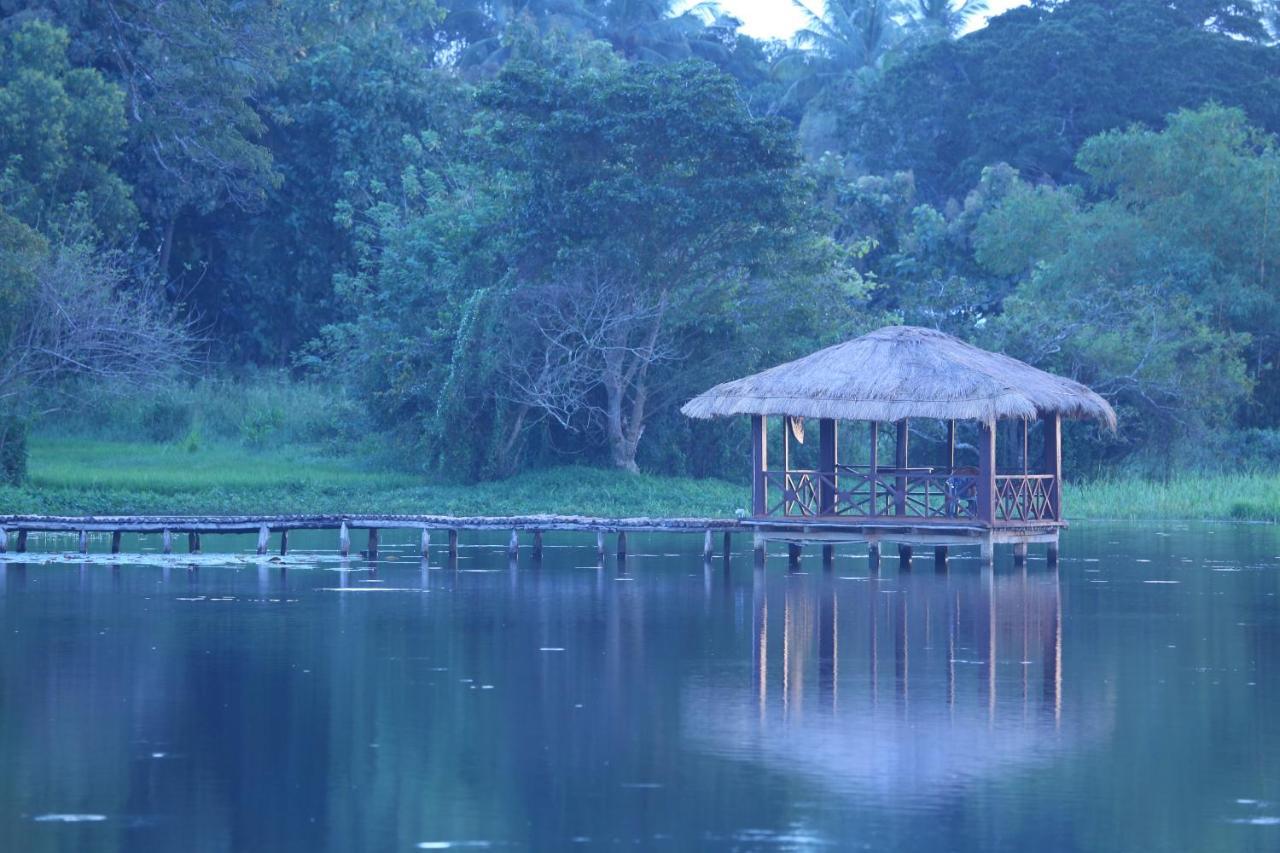Blue Lake Ridge Maha Oya 外观 照片